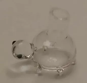 Turtle (CLEAR)